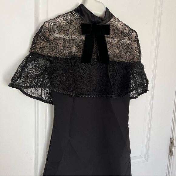 SELF-PORTRAIT
Line Lace Mini Dress - Picture 13 of 15